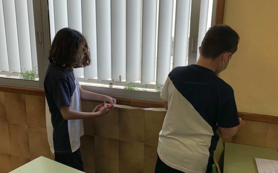 Proyecto Arquiternura 4º de primaria